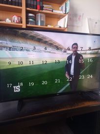 J'ai numéroté les taches blanches de forme ovoïde